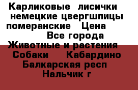 Карликовые “лисички“  немецкие цвергшпицы/померанские › Цена ­ 35 000 - Все города Животные и растения » Собаки   . Кабардино-Балкарская респ.,Нальчик г.